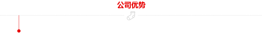 公司优势